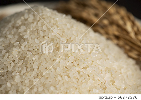 精米した白米 精米した白米 66373576