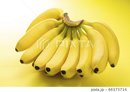 新鮮な1房のバナナ 新鮮な1房のバナナ 66373714