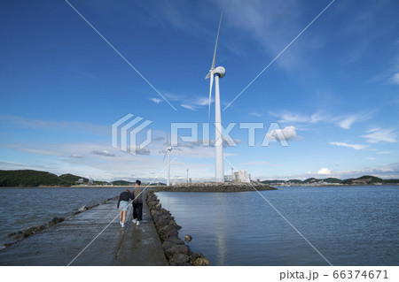 屋外 室外 自然 66374671