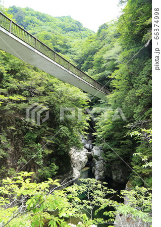 みたらい渓谷 ／ みたらい渓谷ウォーキングコース 【奈良県天川村】 66374998