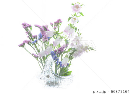 フラワーアレンジメント　白バック 66375164