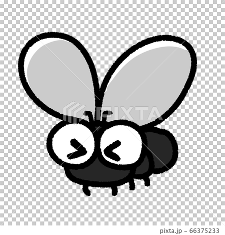 可愛的蒼蠅飛走了 66375233