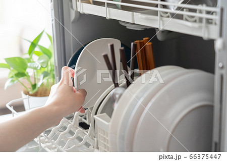 食洗機に皿を入れる女性 66375447
