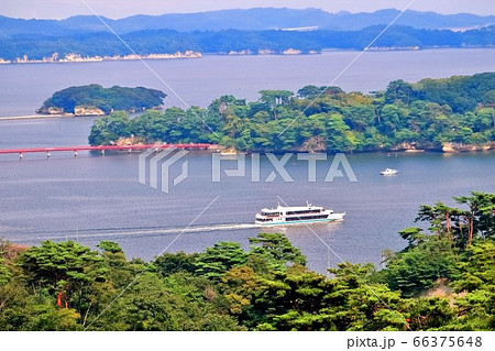 西行戻しの松公園から望む松島湾と観光遊覧船 西行戻しの松公園から望む松島湾と観光遊覧船 66375648