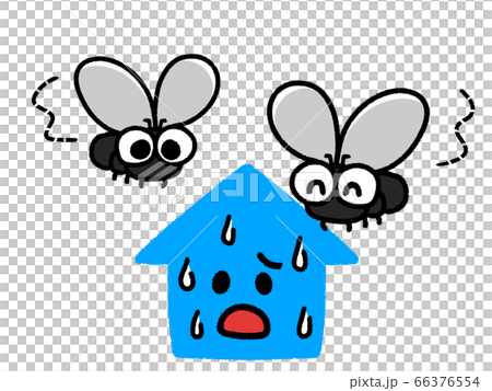Flies and flies that gather at home 66376554