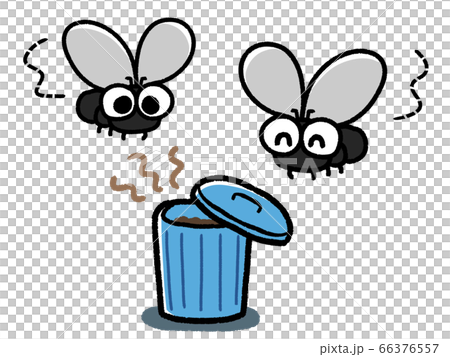 Flies and flies that gather in pail containers Flies and flies that gather in pail containers 66376557