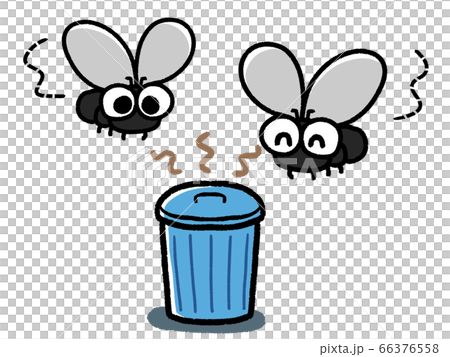 Flies and flies that gather in pail containers Flies and flies that gather in pail containers 66376558