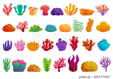 Coral icons set, cartoon style Coral icons set, cartoon style 66377907