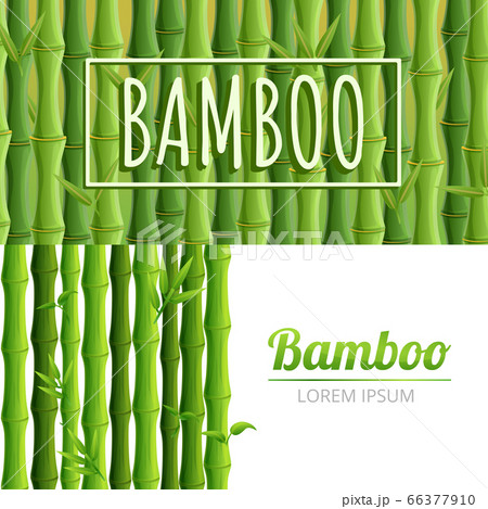 Bamboo banner set, cartoon style Bamboo banner set, cartoon style 66377910
