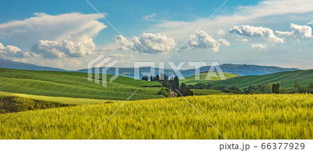 Beautiful and miraculous colors of green spring Beautiful and miraculous colors of green spring 66377929