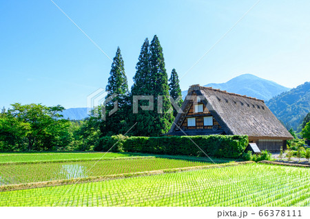 初夏の白川郷(朝) 初夏の白川郷(朝) 66378111