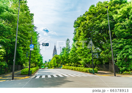 東京の都市風景 神宮外苑から見た新緑越しの新宿方面の風景 東京の都市風景 神宮外苑から見た新緑越しの新宿方面の風景 66378913