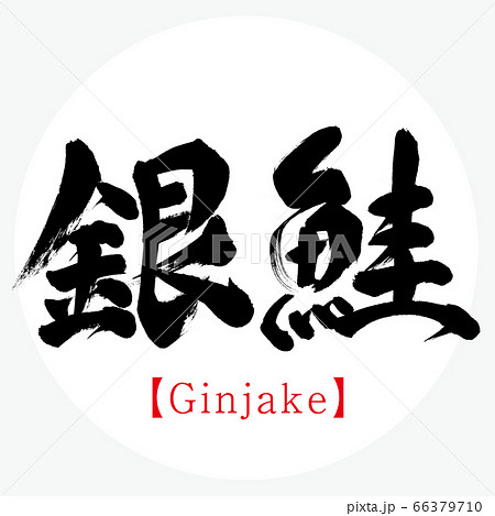 銀鮭・Ginjake（筆文字・手書き） 66379710