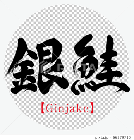 銀鮭・Ginjake（筆文字・手書き） 66379710