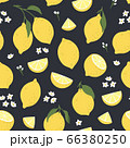 Tropical seamless pattern with yellow lemons. Summer print with citrus, lemons slices, fresh fruits and flowers in hand drawn style. Colorful vector background. 66380250