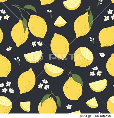 Tropical seamless pattern with yellow lemons. Summer print with citrus, lemons slices, fresh fruits and flowers in hand drawn style. Colorful vector background. 66380250