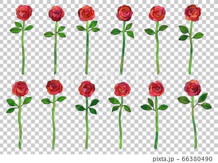 ベクター 12本の赤いバラのイラスト ダーズンローズのイラスト素材