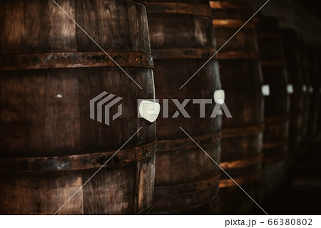 Vintage old oak barrels of wine, cognac in the wine dark vaults of the winery 66380802