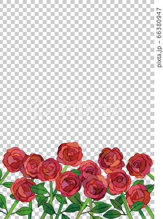 ベクター 12本の赤いバラのイラストフレーム ダーズンローズのイラスト素材