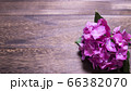 テーブルの上のアジサイ 66382070