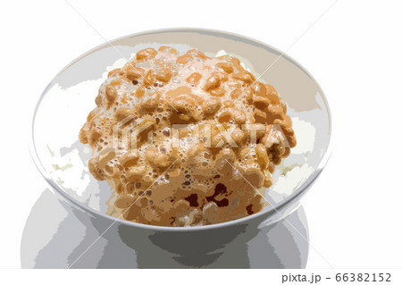 納豆ごはん 納豆ごはん 66382152