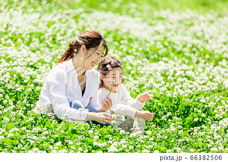 土手に座る家族（シロツメクサ） 66382506