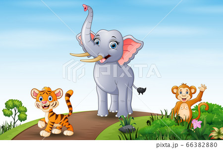 Wild animals walking on the road 66382880