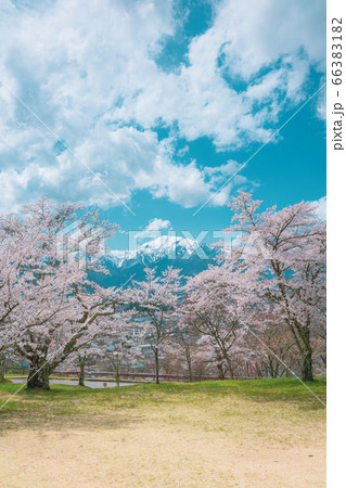 春の蓮華岳【大町公園・大町山岳博物館より撮影】 66383182
