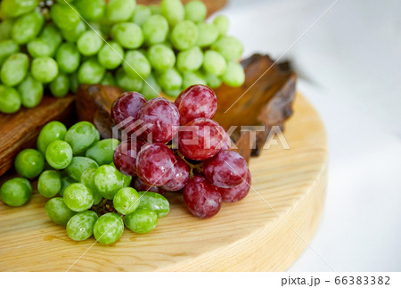 ブドウ フルーツ 果物 66383382