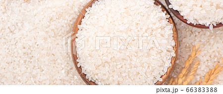 ごはん イネ 米 66383388