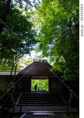 法然院 山門に親子連れ 法然院 山門に親子連れ 66383864