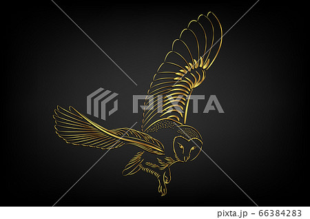 Barn owl flying over black background 66384283