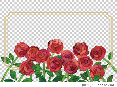 ベクター 12本の赤いバラのイラストフレーム ダーズンローズのイラスト素材