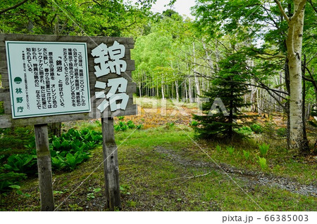 錦沼・阿寒摩周国立公園 錦沼・阿寒摩周国立公園 66385003