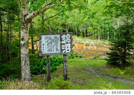 錦沼・阿寒摩周国立公園 66385008