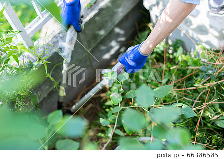 草刈り ガーデニング 草刈り ガーデニング 66386585