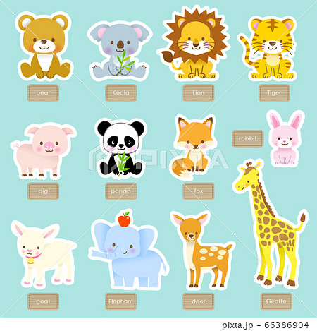 Set of cute animals with name/tiger, panda,... - Stock Illustration  [66386904] - PIXTA