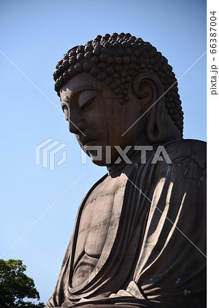 愛知県内大仏 66387004