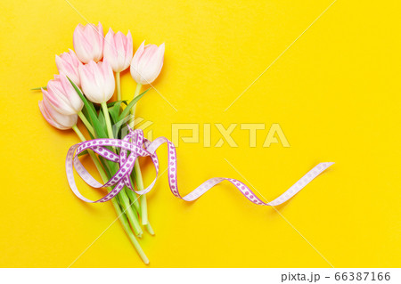 Pink tulips over yellow background Pink tulips over yellow background 66387166