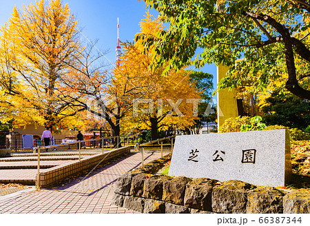 秋の都内観光の名所：芝公園の外観【東京都】【2019年撮影】 66387344