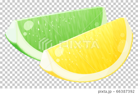 カットレモンとライムのイラスト_くし切り 66387392