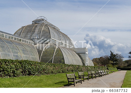 The beautiful Palm House of the Kew Garden 66387732