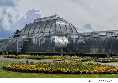 The beautiful Palm House of the Kew Garden The beautiful Palm House of the Kew Garden 66387741