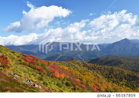 銀泉台の紅葉(北海道・上川町・大雪山系) 銀泉台の紅葉(北海道・上川町・大雪山系) 66387809