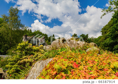 Beautiful nature landscape around Lake Windermere Beautiful nature landscape around Lake Windermere 66387914