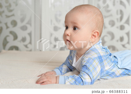Portrait of cute little baby boy on bed 66388311