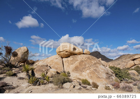 Sunny beautiful landscpe of the Knob Hill Spring 66389725