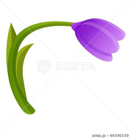 Botanical crocus icon, cartoon style Botanical crocus icon, cartoon style 66390339