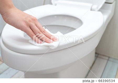 Cropped image of young woman cleaning Toilet seat by a wet wipe in public restroom 66390534