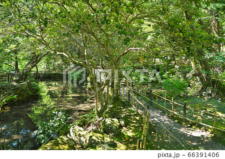 【聖宝寺】 三重県いなべ市藤原町坂本 66391406